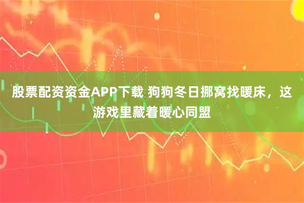 股票配资资金APP下载 狗狗冬日挪窝找暖床，这游戏里藏着暖心同盟